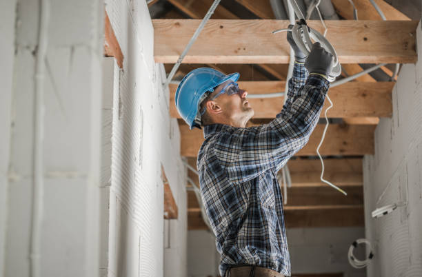 Best Electric Panel Repair  in Plainview, TN